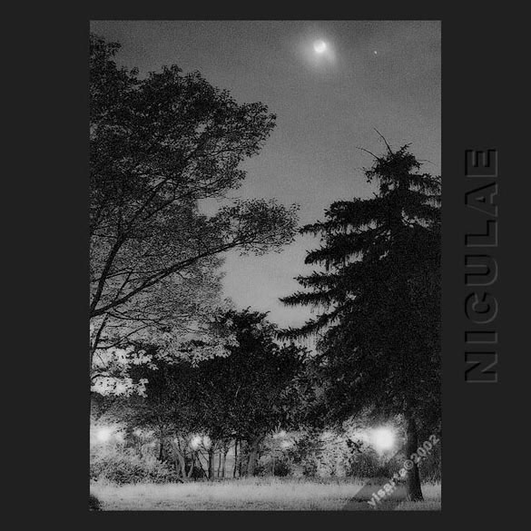 evening in the park
