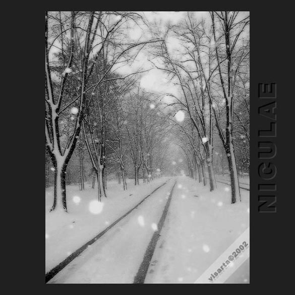 parallel black