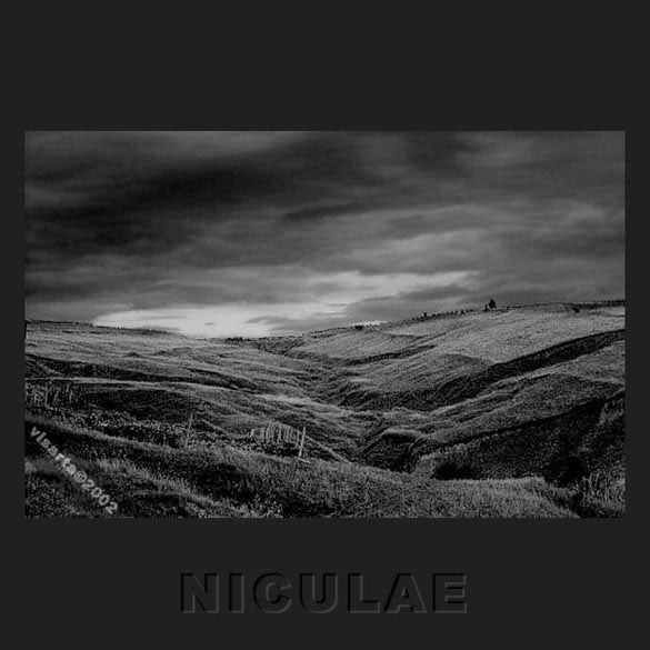 wind pastures